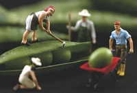 Sector agroalimentario