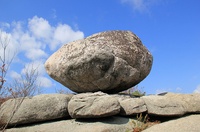 Roca